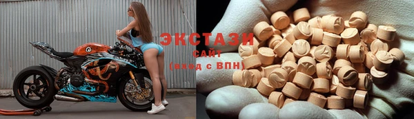 гашик Богородицк