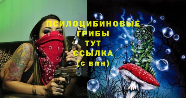 амф Липки