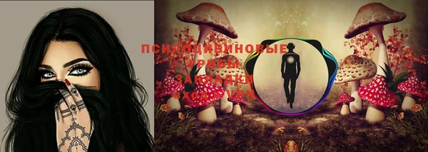спиды Лиски