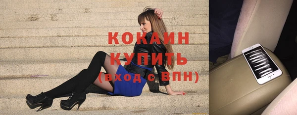 амф Липки